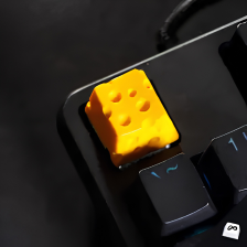 Piece of Cheese