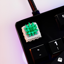 Succulents Keycap