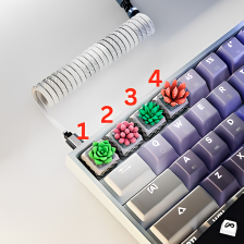 Succulents Keycap