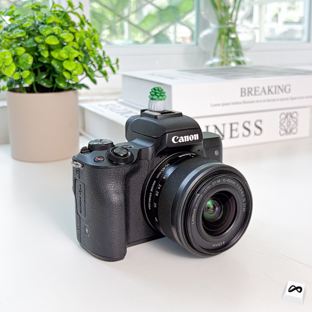 Mini Cactus Camera Hot Shoe Cover