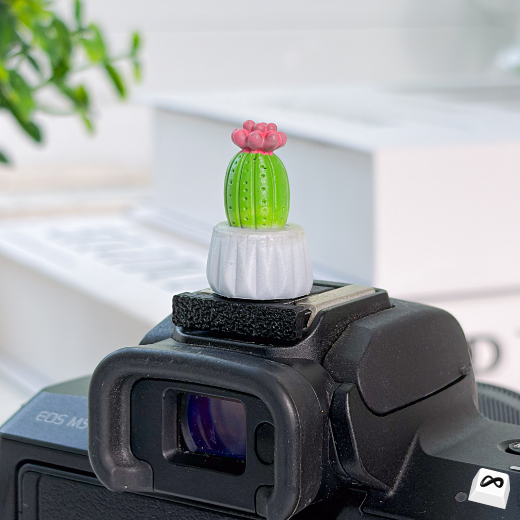 Blooming Cactus Camera Hot Shoe Cover