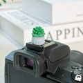 Mini Cactus Camera Hot Shoe Cover