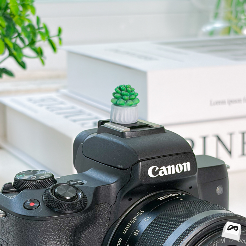 Mini Cactus Camera Hot Shoe Cover