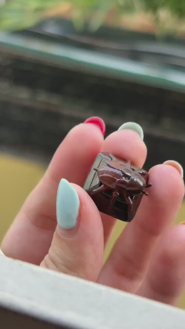 Realistic Cockroach Artisan Keycap
